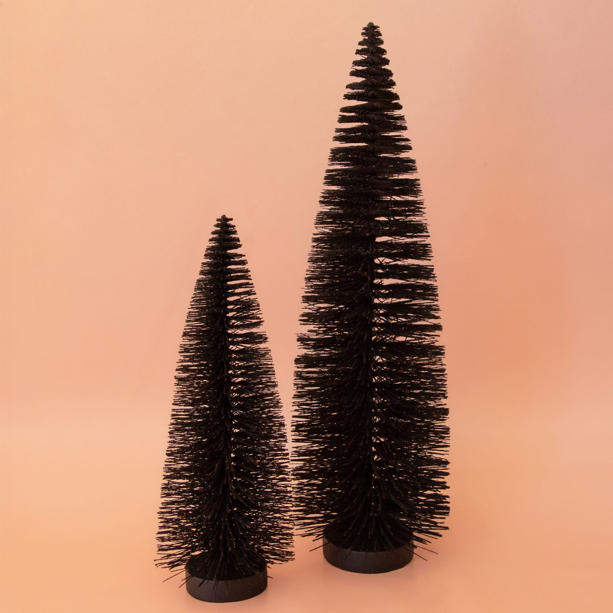 A black bottle brush tree. 